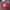 Disney Vintage Y2K Sweatshirt Pria Red