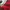 Disney Vintage Y2K Sweatshirt Pria red photo 2