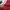 Disney Vintage Y2K Sweatshirt Pria Red