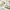 Mango Y2K Shoulder bag Wanita cream photo 1