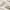 Mango Y2K Shoulder Bag Wanita Cream