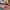 Adidas Casual Sneakers Pria multicolor photo 2