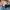 Adidas Casual Sneakers Pria multicolor photo 7