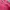 Roma Jellar Streetwear Casual Track jacket Pria pink photo 4