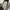 Adidas Streetwear Sportswear Sneakers Wanita White