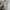 Adidas Streetwear Sportswear Sneakers Wanita white photo 6