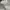 Minimalist Casual Short Wanita white photo 5