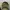Von Dutch Hat Pria brown photo 1