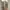 Gucci Streetwear Luxury Sweatshirt Pria gray photo 2