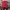 MLB Streetwear Sportswear Hoody Pria red photo 1