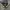 Vintage Y2K Hat Pria black photo 1