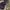 Vintage Y2K Hat Pria navy black photo 5