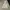 Dickies Indie Casual Hoody Pria white photo 1
