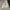 Dickies Indie Casual Hoody Pria white photo 1