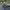 Vintage Y2K Hat Pria gray cream photo 5
