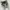 Y2K Grunge T-shirt Pria white photo 6