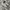 Asics Sportswear Casual Sneakers Pria white brown photo 1