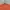Burberry Streetwear Luxury T-shirt Wanita orange photo 2