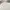 Japanese brand Sportswear Casual Windbreaker Pria white photo 2