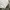 Japanese brand Sportswear Casual Windbreaker Pria white photo 3
