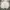 Japanese brand Sportswear Casual Windbreaker Pria white photo 1