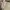 Chevignon Casual Polo shirt Pria multicolor cream photo 3