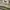 Chevignon Casual Polo shirt Pria multicolor cream photo 2