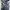 Cartel Casual Kids navy blue photo 2