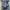 Cartel Casual Kids navy blue photo 5