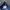 Lee Vintage Y2K Jeans Pria blue photo 5