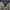 Tommy Hilfiger Y2K Coquette Blazer Wanita multicolor navy photo 8