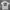 Carhartt Vintage Streetwear T-shirt Pria White Black