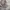 Carhartt Vintage Streetwear Hoody Pria gray photo 3