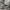 Carhartt Vintage Streetwear Hoody Pria gray photo 5