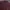 Burberry Luxury Minimalist Polo shirt Pria burgundy brown photo 2