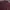 Burberry Luxury Minimalist Polo Shirt Pria Burgundy Brown