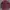 Burberry Luxury Minimalist Polo Shirt Pria Burgundy Brown