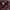 Burberry Luxury Minimalist Polo shirt Pria burgundy brown photo 3