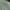 Polo Ralph Lauren Y2K Casual Formal shirt Pria white green photo 6