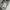Carhartt Streetwear Y2K Hat Pria gray photo 2