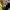 Nerdy Streetwear Casual Bag Pria yellow photo 7