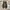 VANS Casual Sneakers Pria white black photo 4