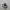 Nike Streetwear Indie Sneakers Pria white black photo 1