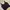 Shein Minimalist Casual Crop top Wanita black photo 1