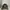 True Religion Y2K Hat Pria black photo 1