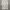 Uniqlo Casual Formal shirt Pria white photo 1