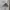 Adidas Streetwear Sportswear Tracksuit Pria gray photo 2