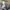 Adidas Streetwear Sportswear Tracksuit Pria gray photo 5