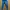 Sportswear Legging Wanita navy photo 3