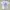 Grunge Emo T-shirt Pria white photo 1